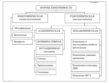 Изменчивость, ее формы. Комбинативная изменчивость, ее механизмы и значение - student2.ru