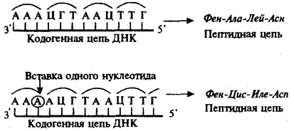 Изменения нуклеотидных последовательностей ДНК - student2.ru