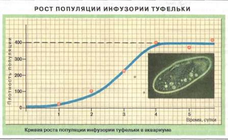 Изучите график, отражающий рост популяции инфузории туфельки в аквариуме. В течение каких суток наблюдается минимальный рост численности животных? - student2.ru