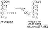 катаболизм аминокислот - student2.ru