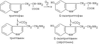 катаболизм аминокислот - student2.ru