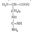 характеристика амінокислот і 1 страница - student2.ru