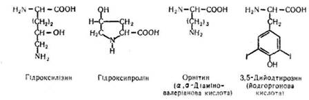 характеристика амінокислот і 1 страница - student2.ru