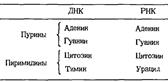 Характеристика некоторых типов структур ДНК - student2.ru