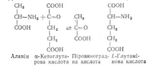 характеристика окремих класів ферментів - student2.ru