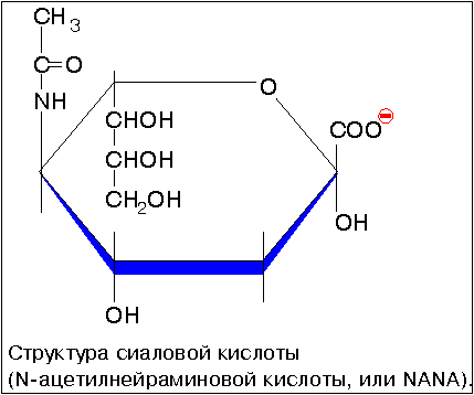 Характеристика простых липидов - student2.ru