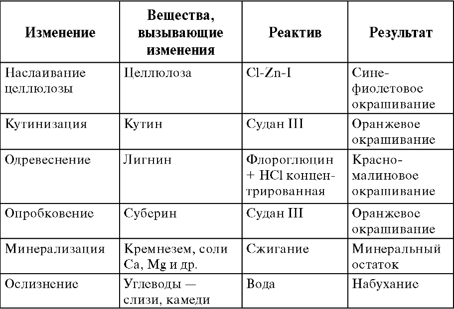 Характерные изменения вторичной клеточной стенки - student2.ru