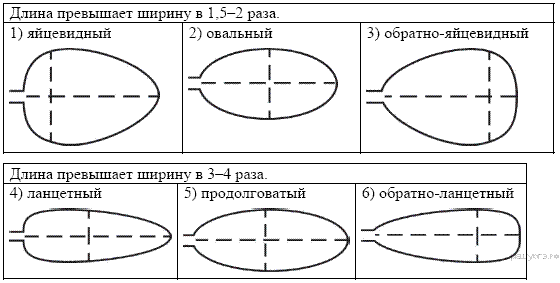 Хи­ми­че­ский со­став мор­ской воды и сы­во­рот­ки крови - student2.ru