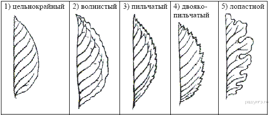 Хи­ми­че­ский со­став мор­ской воды и сы­во­рот­ки крови - student2.ru