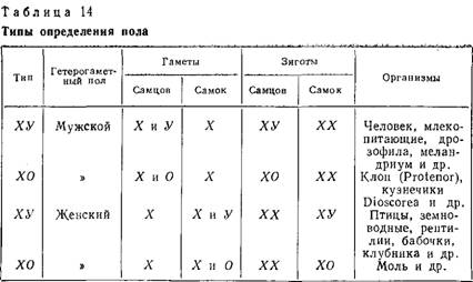 Хромосомное определение пола - student2.ru