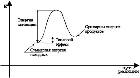 кинетика биохимических реакций. - student2.ru