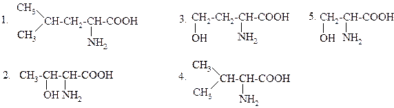 Классификация аминокислот белков - student2.ru