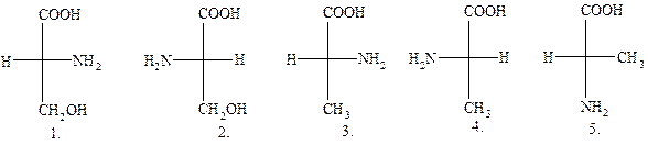 Классификация аминокислот белков - student2.ru