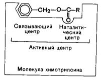 Классификация ферментов и номенклатура - student2.ru