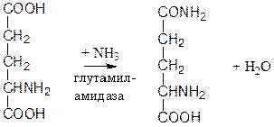 Классификация и номенклатура ферментов - student2.ru