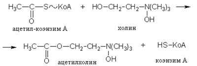 Классификация и номенклатура ферментов - student2.ru