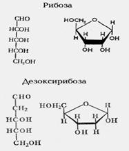 Классификация углеводов и их свойства - student2.ru