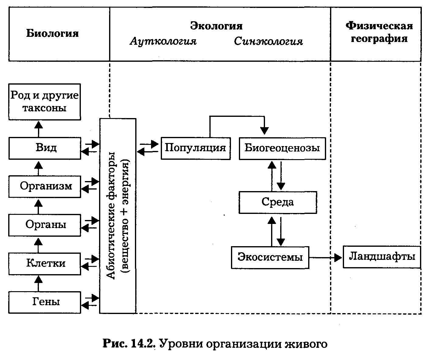 Классификация уровней биологических структур и организация живых систем - student2.ru