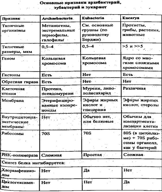 Концепция К. Вуза о трех линиях эволюции, трех формах жизни - student2.ru