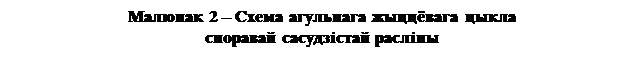 Лекция 1. Агульная характарыстыка вышэйшых раслін і іх адрозненне ад водарасцей - student2.ru