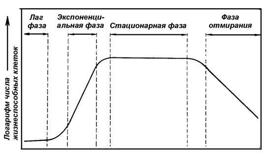 Лекция 2 . Бактериоцины: химическая природа и свойства; значение для бактерий; практическое использование бактериоциногенных штаммов - student2.ru