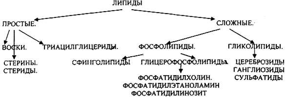 Лекция. - student2.ru