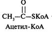 Лекция № 2. Основные пути обмена аминокислот в тканях - student2.ru