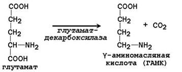 Лекция № 2. Основные пути обмена аминокислот в тканях - student2.ru