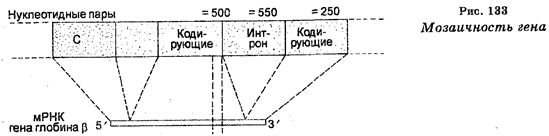 Линейный порядок и тонкое строение генов - student2.ru