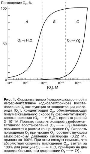 лучше, чтобы кислорода в клетке было не слишком много - student2.ru