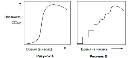 мах. 3 балла] Кровь (гемолимфа) у беспозвоночных животных имеет различную окраску. Выберите для объектов (1–6) характерный цвет крови/гемолимфы (А–Е). - student2.ru