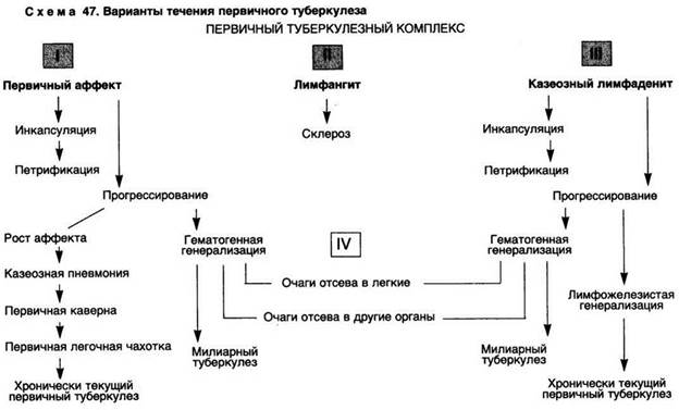 менингококковая инфекция - student2.ru