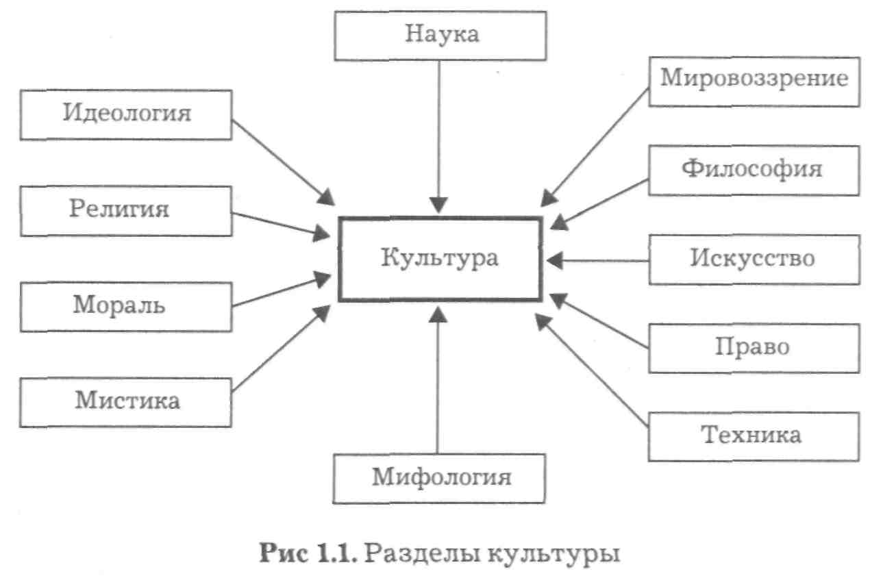 Структура культуры схема