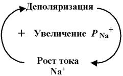 Методы измерения мембранного потенциала - student2.ru