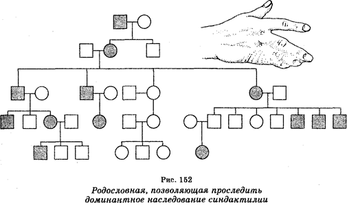 Методы изучения наследственности - student2.ru