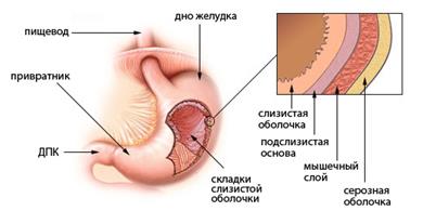 методы обследования пациентов с заболеваниями органов пищеварения - student2.ru