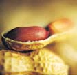 Методы применения арахисового масла - student2.ru