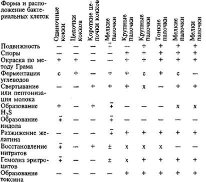 Микробиологическая диагностика гнойно-воспалительных заболеваний, вызванных неспорообразующими анаэробными бактериями - student2.ru