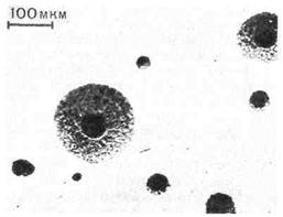 Микробиологическая диагностика инфекций, вызванных Streptococcus pneumoniae - student2.ru