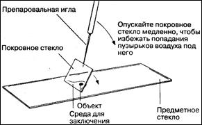 Микроскопические методы - student2.ru