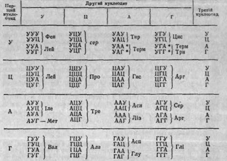 молекулярні механізми специфічності біосинтезу білків. генетичний код - student2.ru