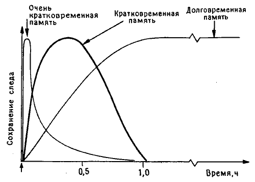 можно ли считать двп памятью? - student2.ru