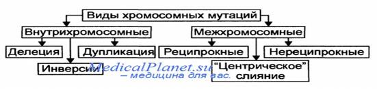 Мутантный аллель → измененный первичный продукт → цепь биохимических процессов в клетке → органы → организм - student2.ru