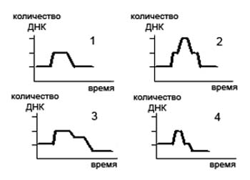 На графиках 1-4 показано изменение количества ДНК в клетке в ходе клеточного цикла. Выберите график, который верно отображает изменения количества ДНК в ходе МЕЙОЗА. - student2.ru