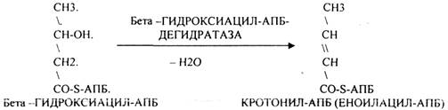 Наличие специальных белков-переносчиков (HS -АПБ). 3.Наличие специальных ферментов синтеза - student2.ru