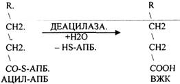 Наличие специальных белков-переносчиков (HS -АПБ). 3.Наличие специальных ферментов синтеза - student2.ru