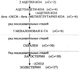 Наличие специальных белков-переносчиков (HS -АПБ). 3.Наличие специальных ферментов синтеза - student2.ru