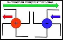 Нектар, от «нэкрос» – мертвец 3 страница - student2.ru