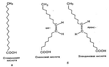 Ненасыщенные жирные кислоты - student2.ru