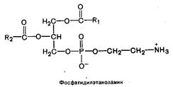 Ненасыщенные жирные кислоты - student2.ru